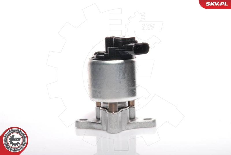 ESEN SKV 14SKV041 EGR Valve