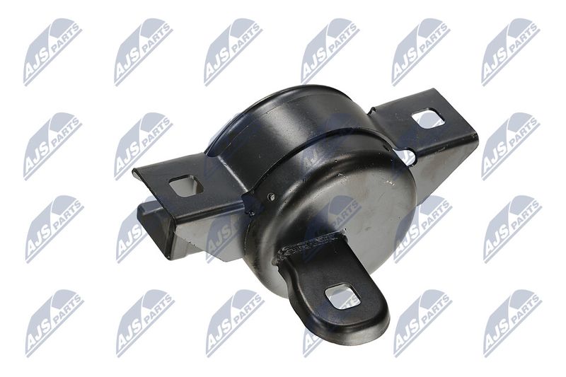 Paigutus, Mootor, NTY ZPS-DW-011