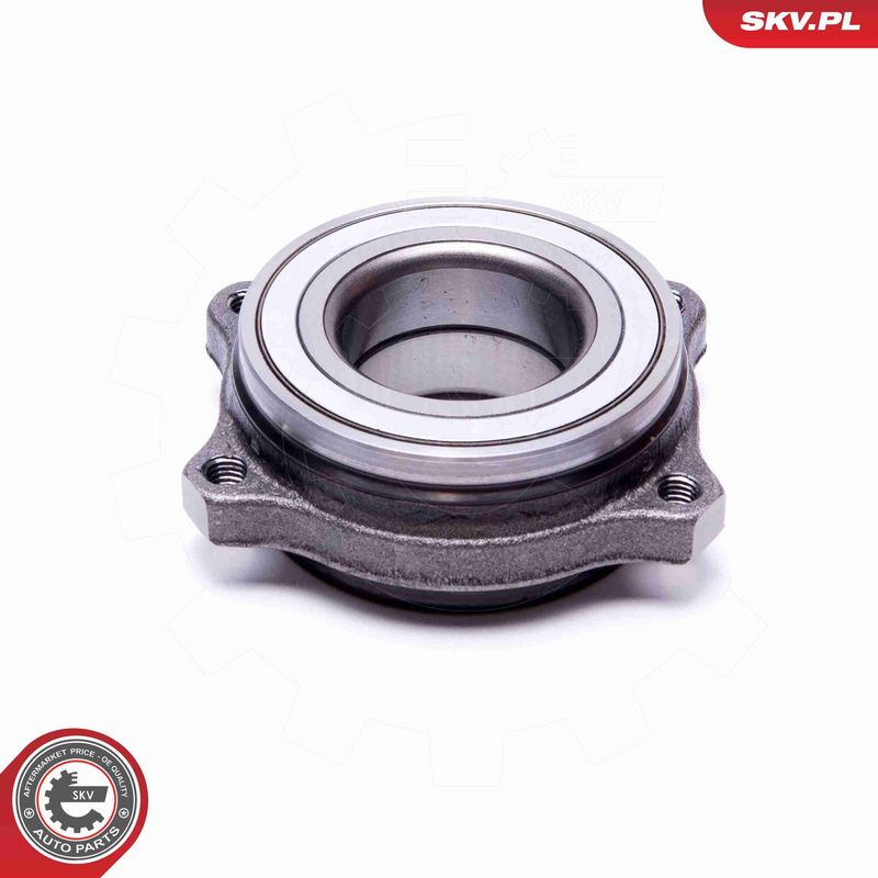 ESEN SKV 29SKV542 Wheel Bearing Kit