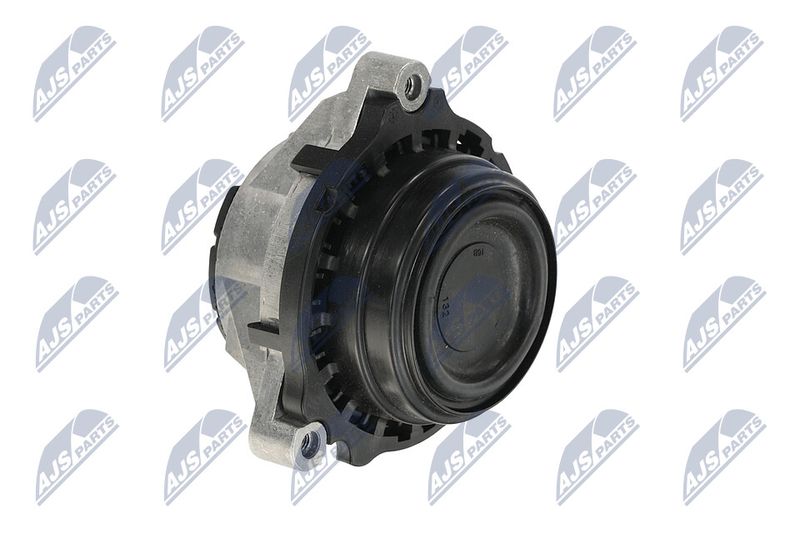 Paigutus, Mootor, NTY ZPS-BM-028