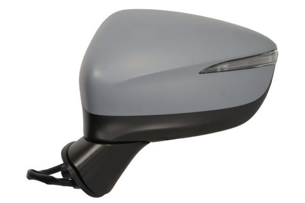 BLIC 5402-14-0770324P Exterior Mirror