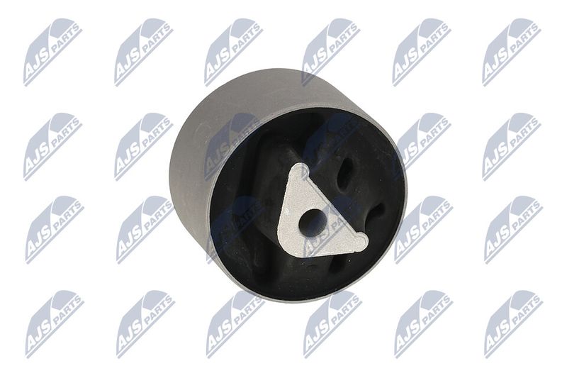 Paigutus, Mootor, NTY ZPS-CH-039