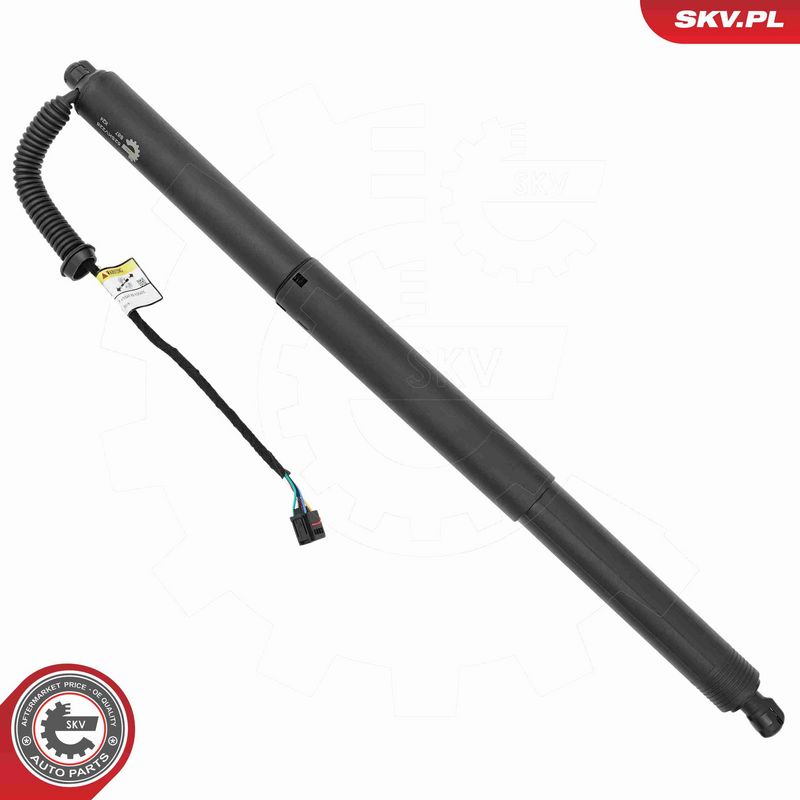 ESEN SKV 52SKV228 Electric Motor, tailgate