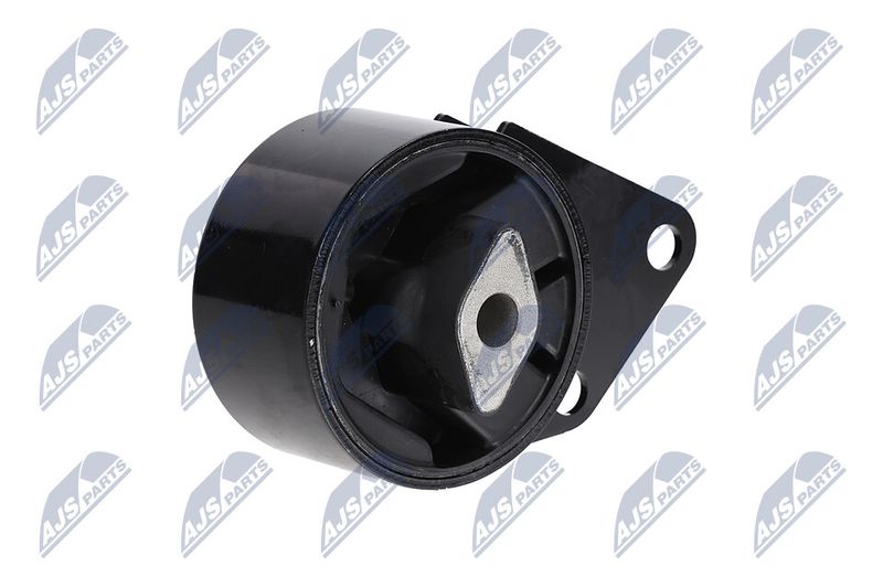 Paigutus, Mootor, NTY ZPS-CH-064