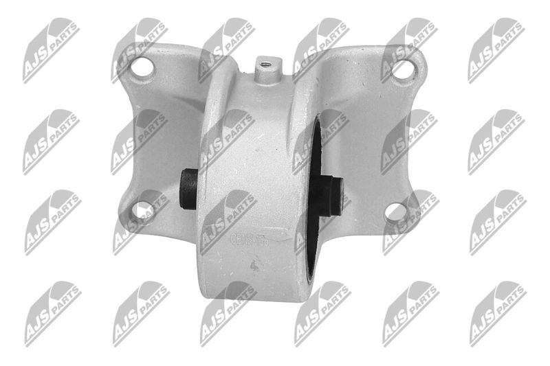 Paigutus, Mootor, NTY ZPS-NS-156