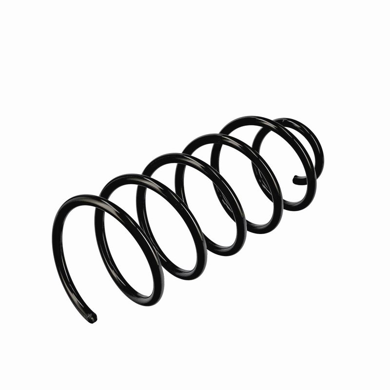 EIBACH R11016 Pakabos spyruoklė