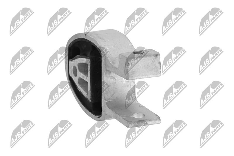 Paigutus, Mootor, NTY ZPS-FR-010