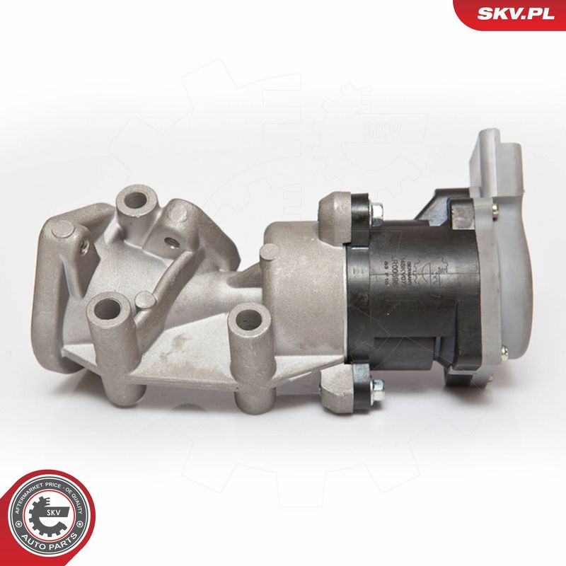 ESEN SKV 14SKV072 EGR Valve