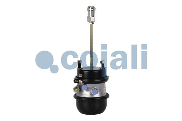 Cilindru multifunctional COJALI 2251424
