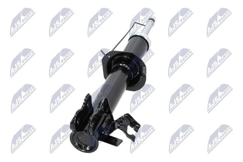 Amort, NTY A-NS-009