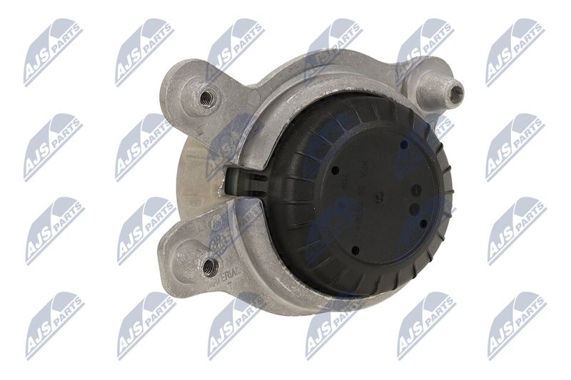 Paigutus, Mootor, NTY ZPS-ME-048