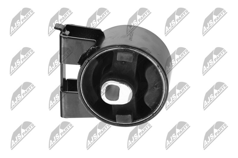 Paigutus, Mootor, NTY ZPS-CH-047