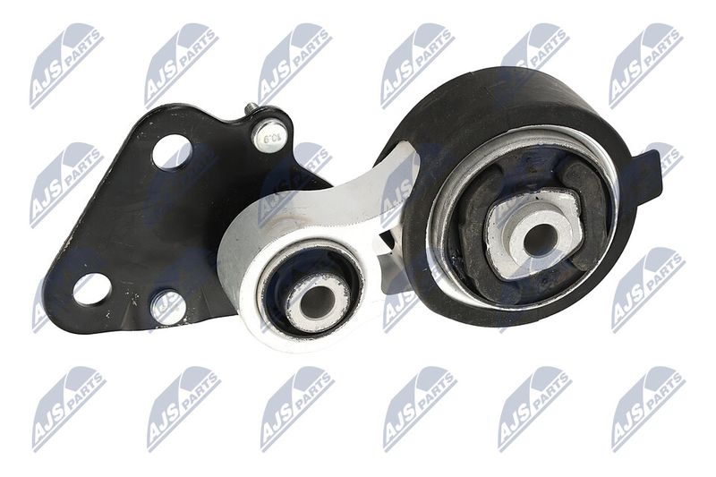 Paigutus, Mootor, NTY ZPS-CH-078