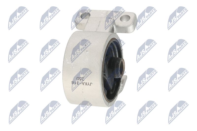 Paigutus, Mootor, NTY ZPS-KA-318