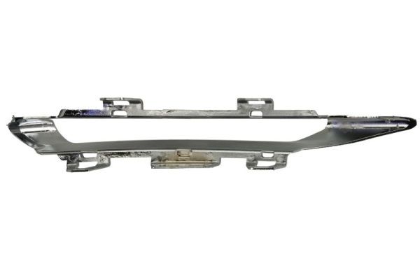 BLIC 6502-07-3514924P Trim/Protection Strip, bumper