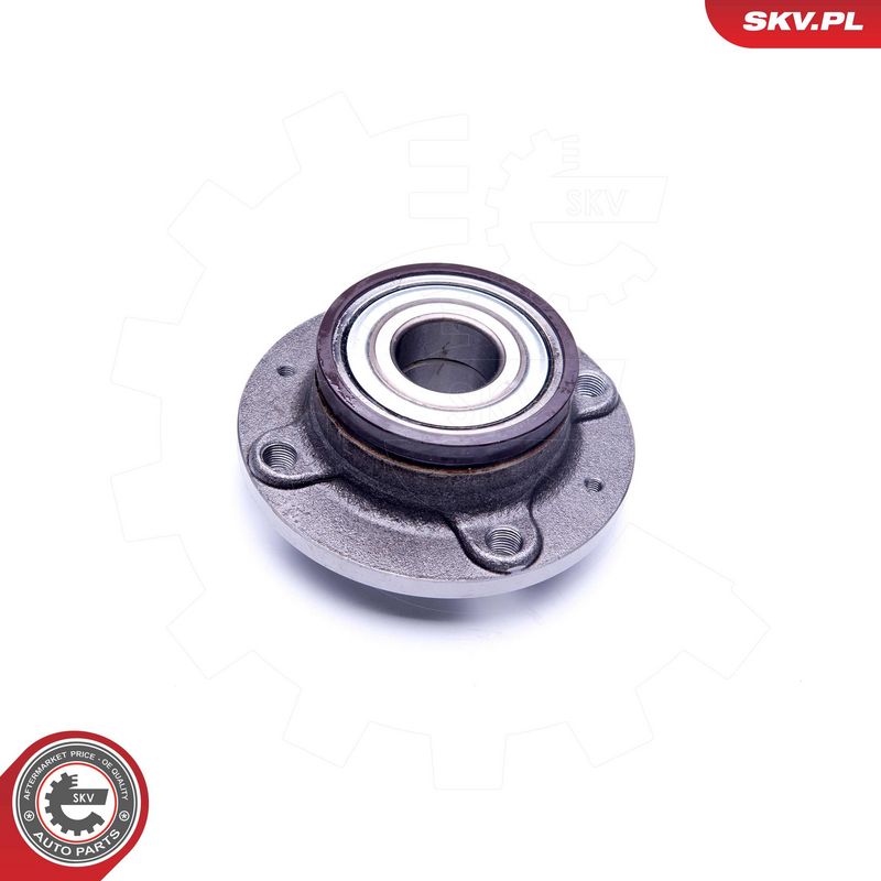 Rattalaagrikomplekt, ESEN SKV 29SKV220