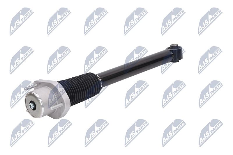 Amort, NTY A-LR-015