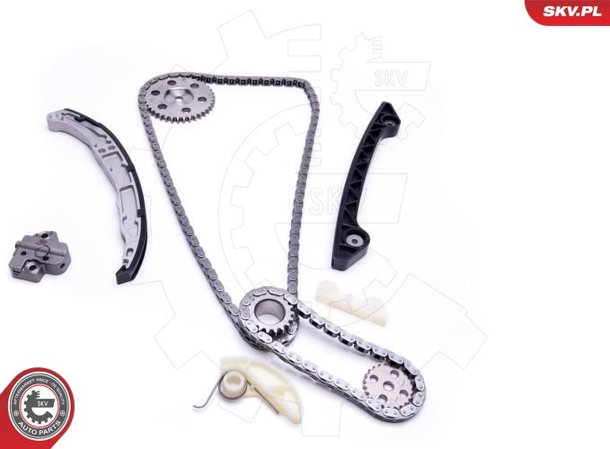 ESEN SKV 21SKV242 Timing Chain Kit