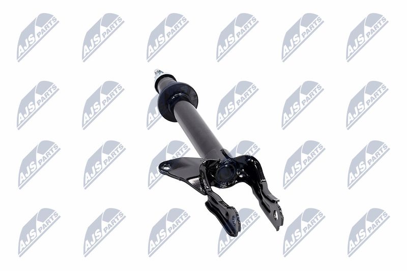 Amort, NTY A-CH-081
