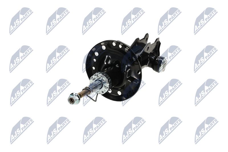 Amort, NTY A-PL-062