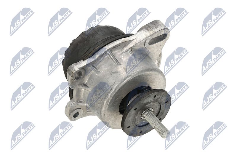 Paigutus, Mootor, NTY ZPS-FR-013