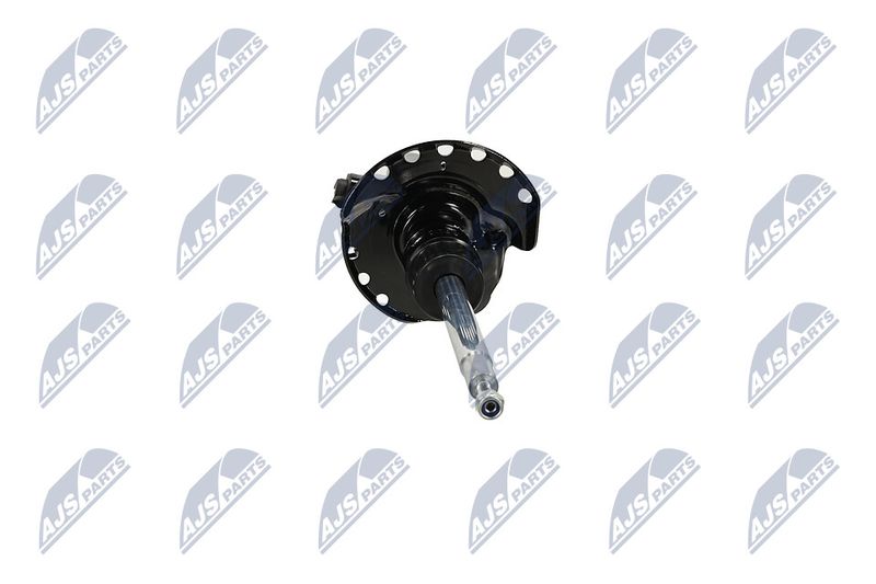 Amort, NTY A-LR-033