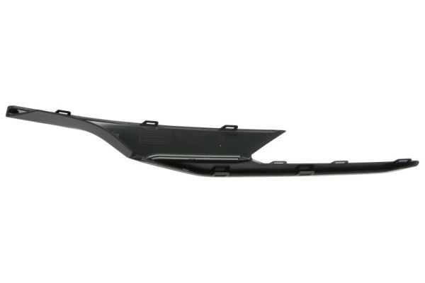 BLIC 6502-07-0071924P Trim/Protection Strip, bumper