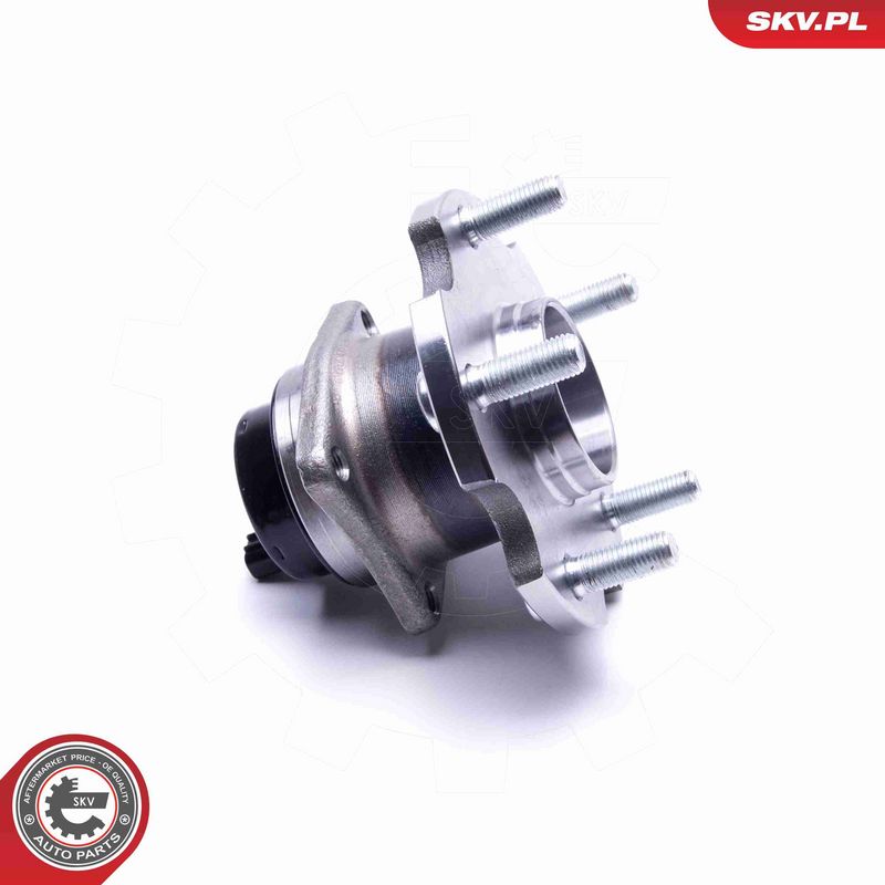 ESEN SKV 29SKV287 Wheel Bearing Kit