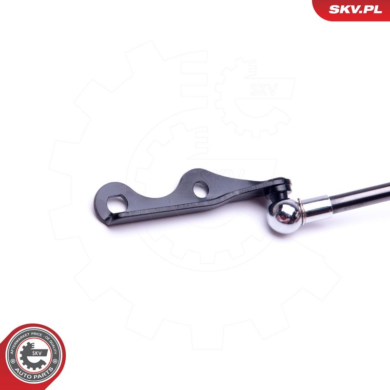 Gaasivedru, pagasi-, veoruum, ESEN SKV 52SKV555