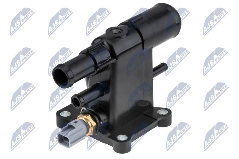CTM-VV-006_1-WM.JPG