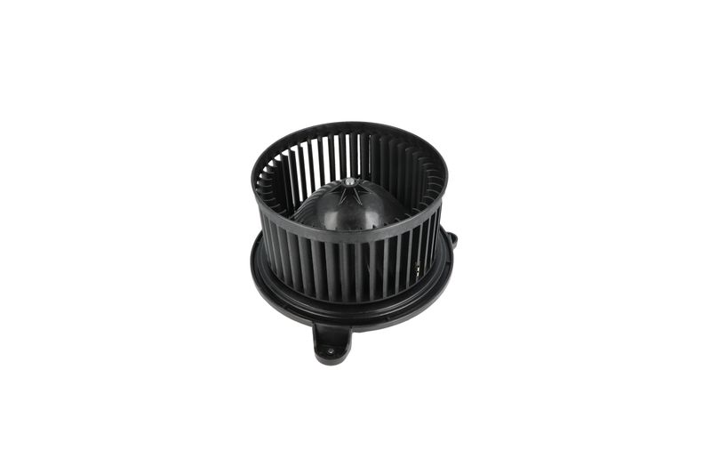 Salongipuhur, NRF 34365