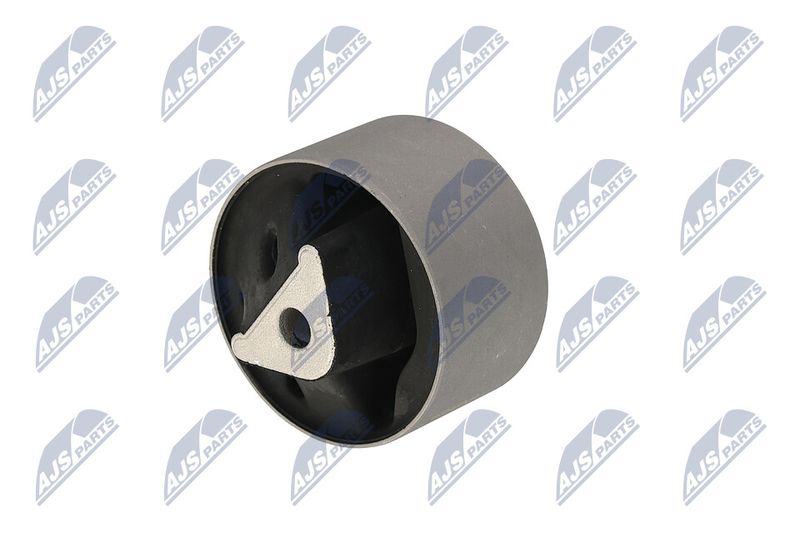 Paigutus, Mootor, NTY ZPS-CH-039