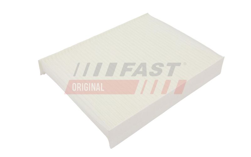 FAST FT37309 Salono filtras