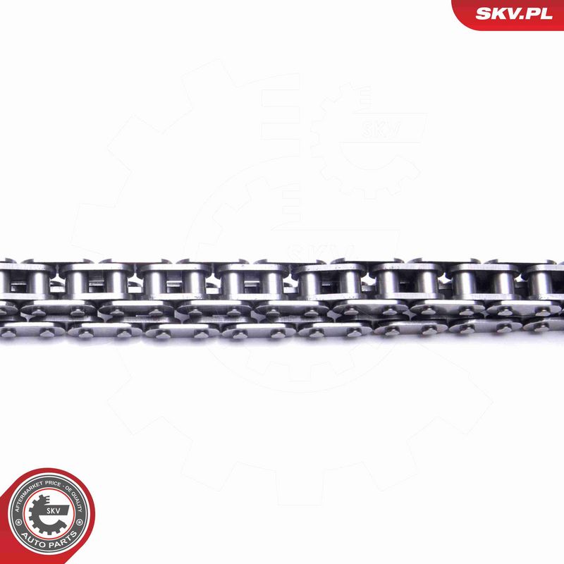 ESEN SKV 21SKV112 Timing Chain Kit