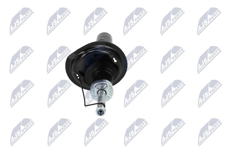 Amort, NTY A-CT-020