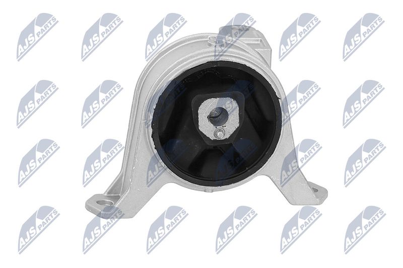 Paigutus, Mootor, NTY ZPS-PL-001