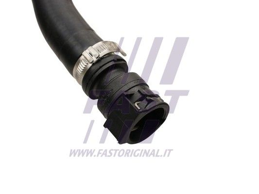FT61478_2_1.JPG