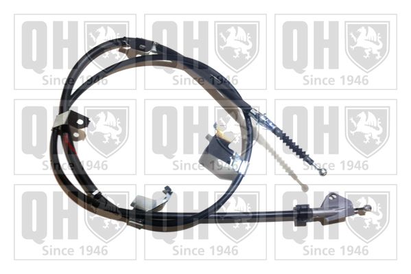 QH_BC4288.JPG