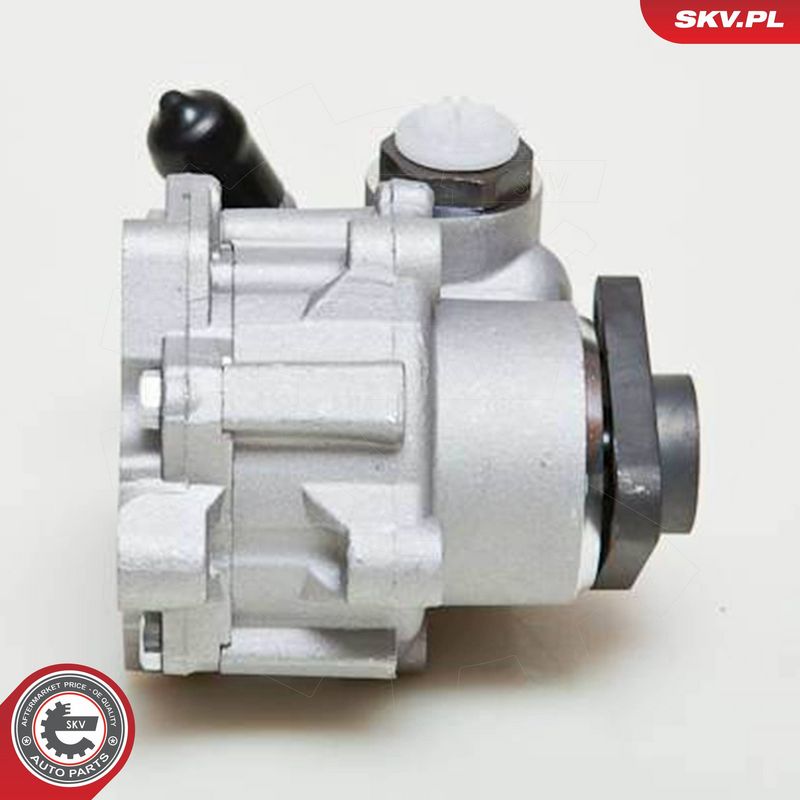 ESEN SKV 10SKV049 Hydraulic Pump, steering