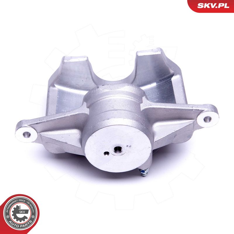 Pidurisadul, ESEN SKV 50SKV391