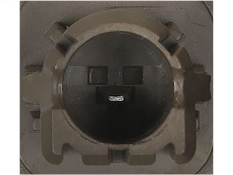 264685.JPG
