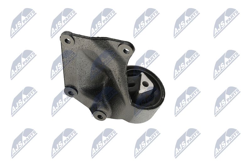 Paigutus, Mootor, NTY ZPS-CH-004