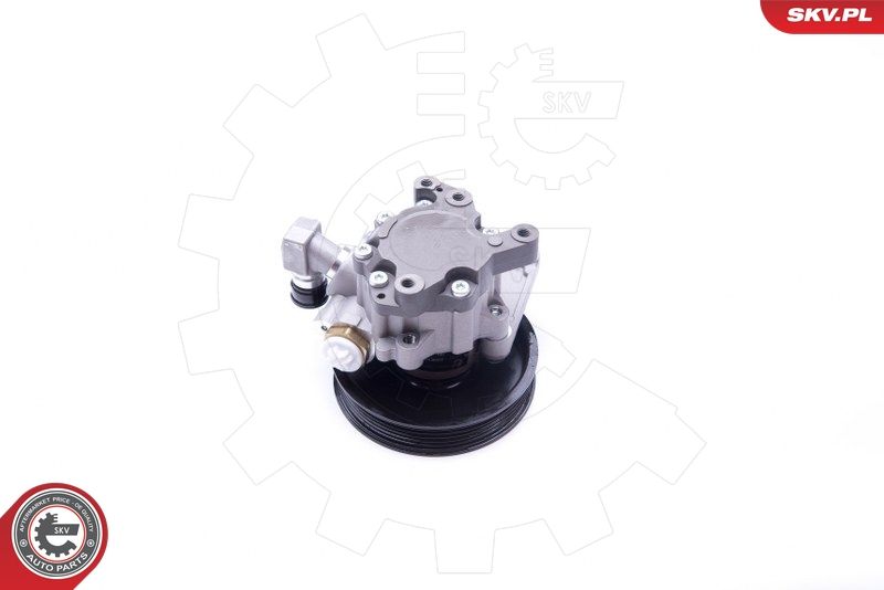 ESEN SKV 10SKV235 Hydraulic Pump, steering