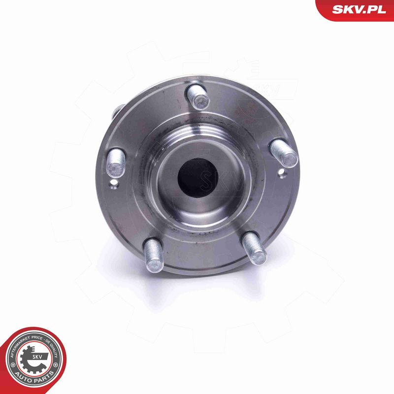 ESEN SKV 29SKV342 Wheel Bearing Kit