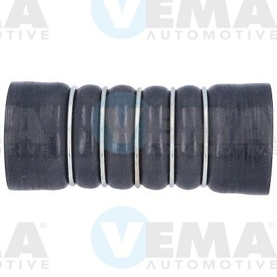 VE55858.JPG