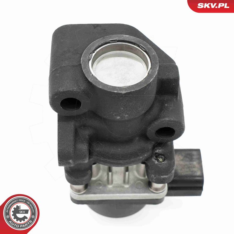 ESEN SKV 14SKV260 EGR Valve