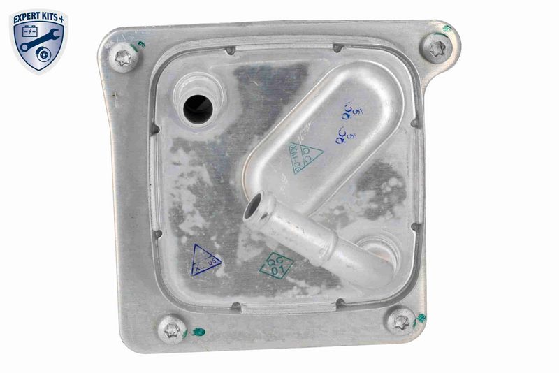 ACKOJA A38-60-0005 Oil Cooler, engine oil