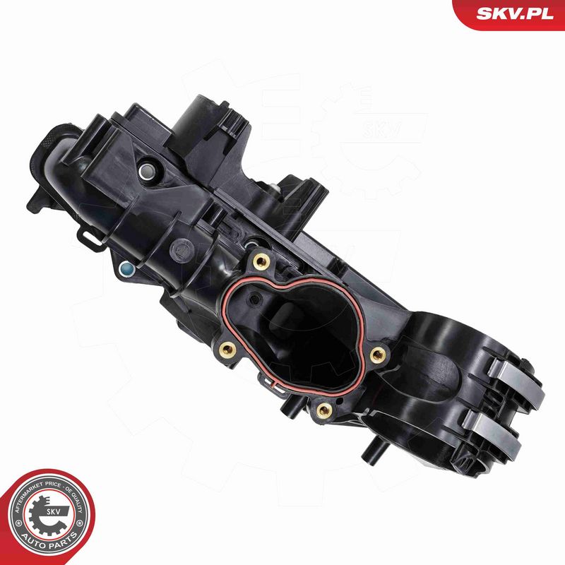 ESEN SKV 49SKV098 Intake Manifold Module