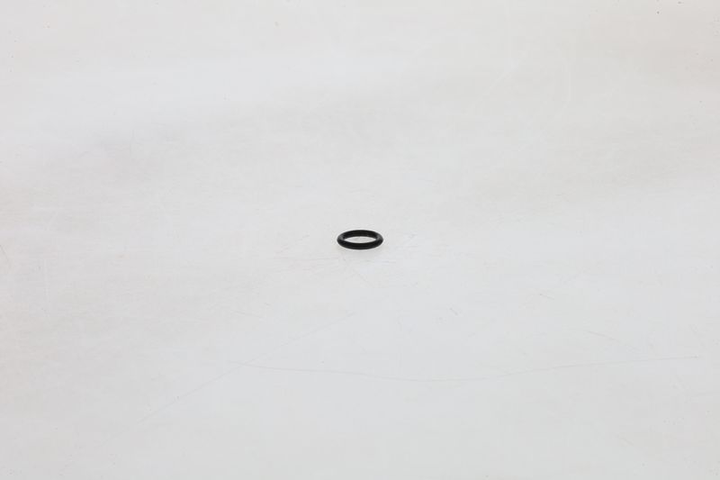 BOSCH F002A51088 Rubber Ring