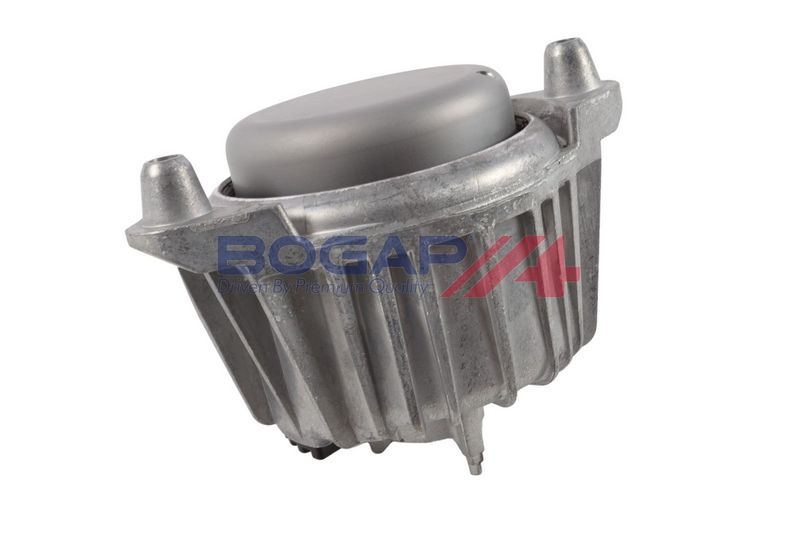 BOGAP Variklio montavimas